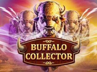 Buffalo Collector screenshot